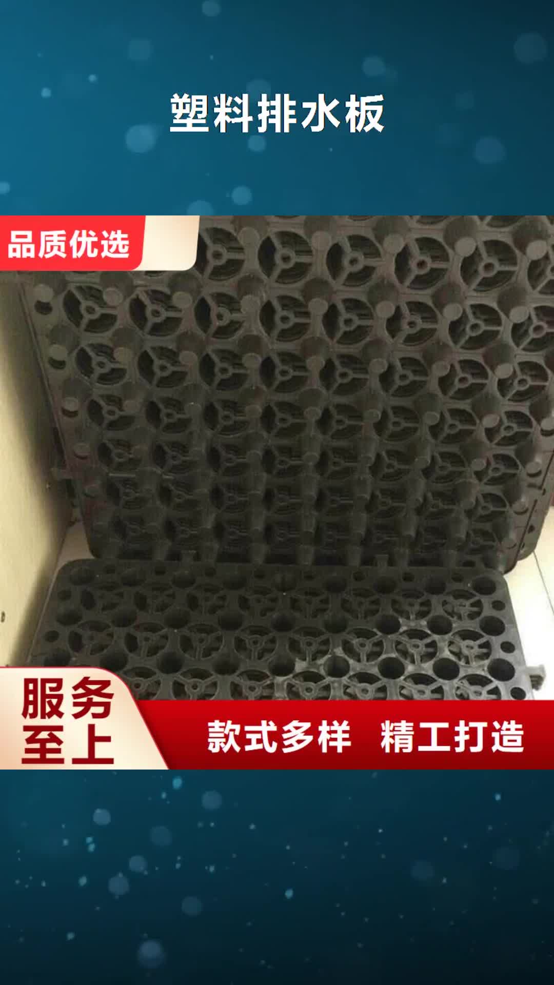 秦皇岛 塑料排水板,【HDPE土工膜】质检严格放心品质