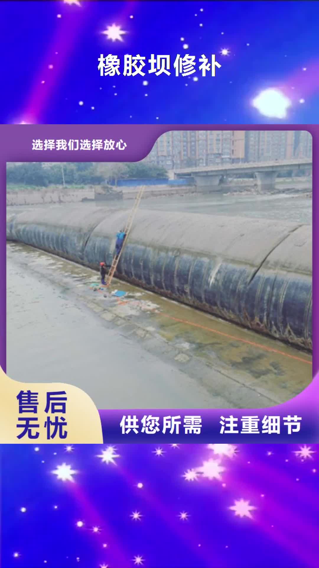 上海 橡胶坝修补,【道堵水气囊】多年行业积累
