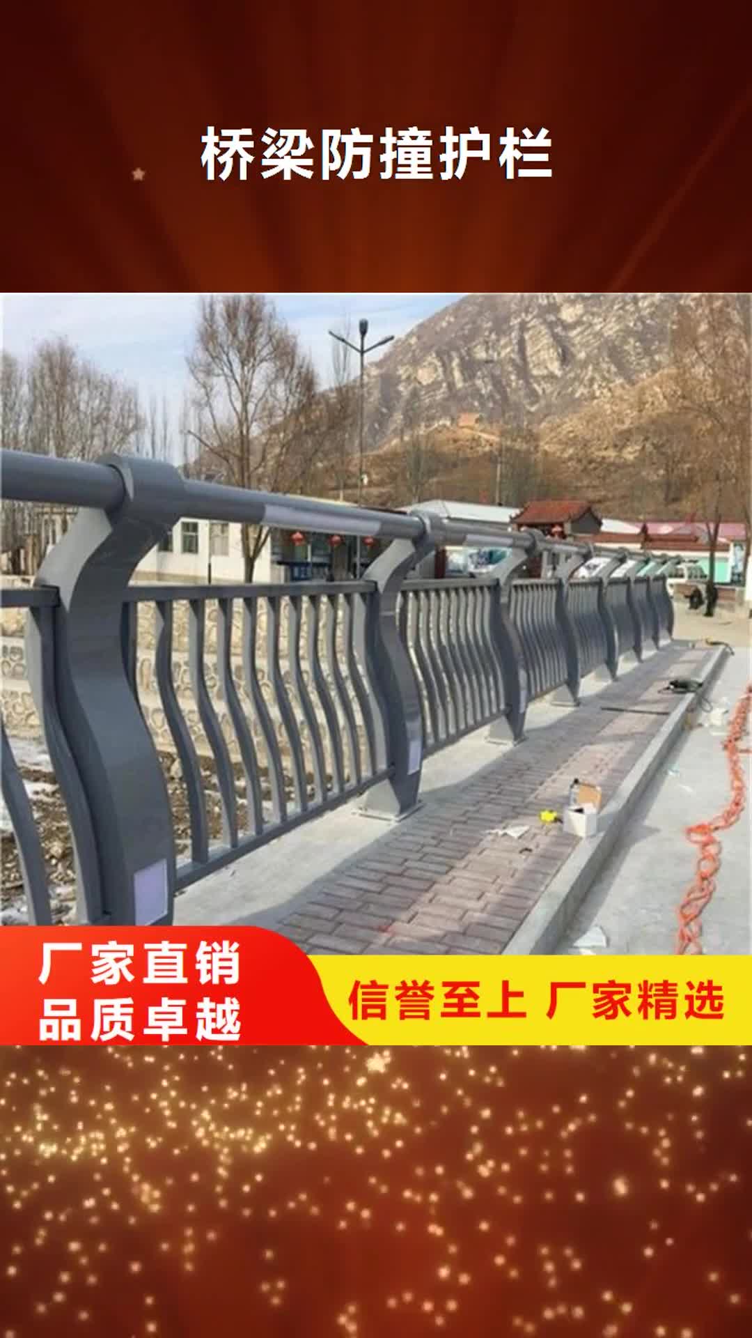 河北【桥梁防撞护栏】 道路隔离护栏自营品质有保障