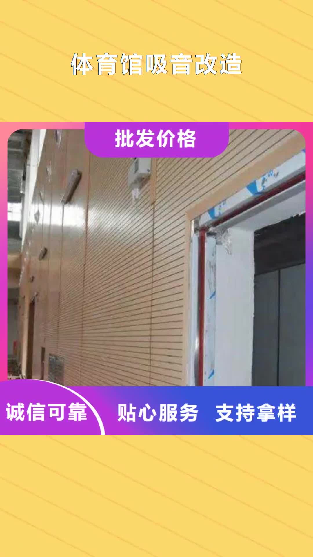 【来宾 体育馆吸音改造 软包吸音板按需设计】