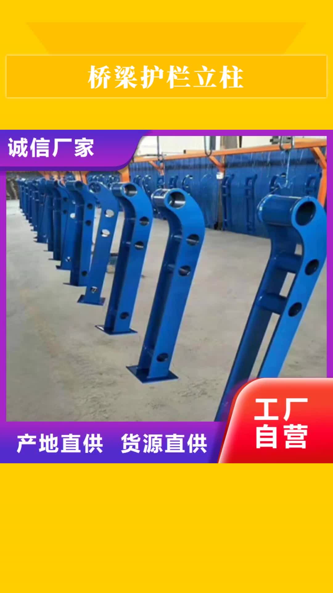 汉中 桥梁护栏立柱,【防撞护栏】规格齐全实力厂家