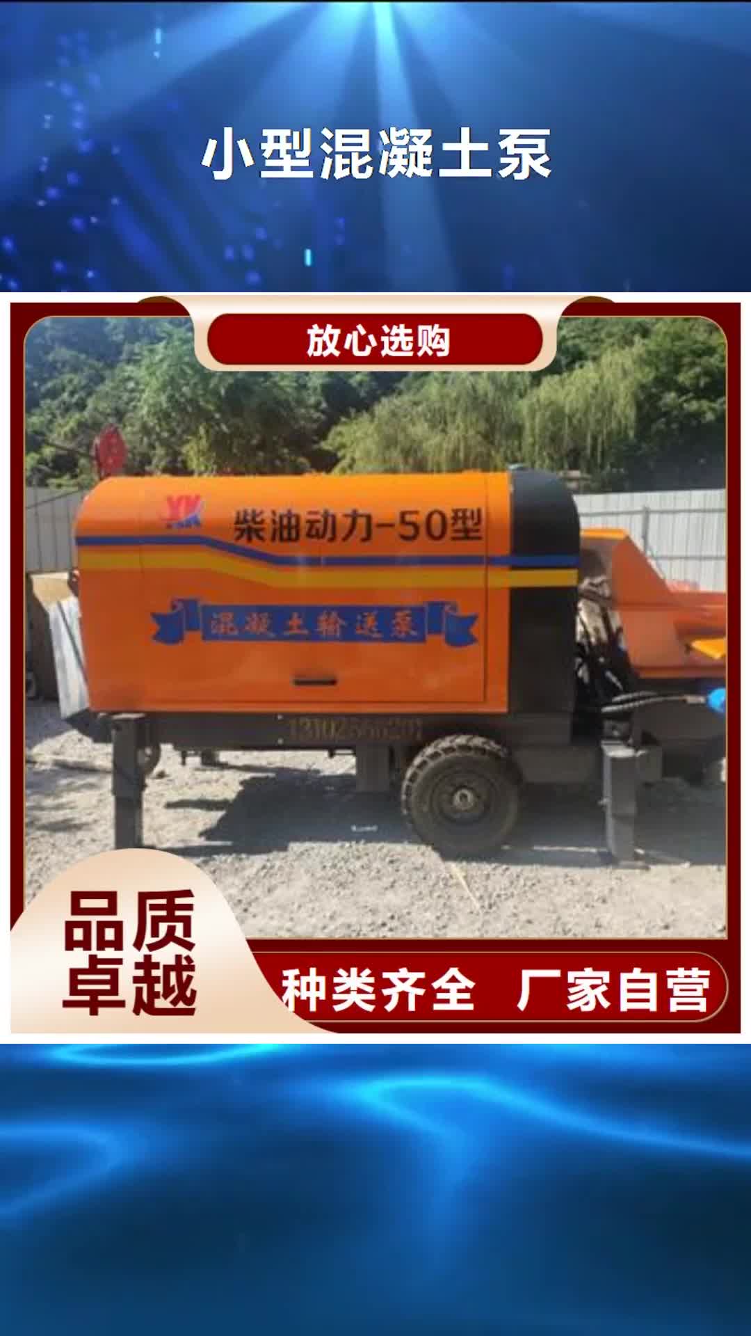 曲靖【小型混凝土泵】 小型混凝土输送泵支持定制批发