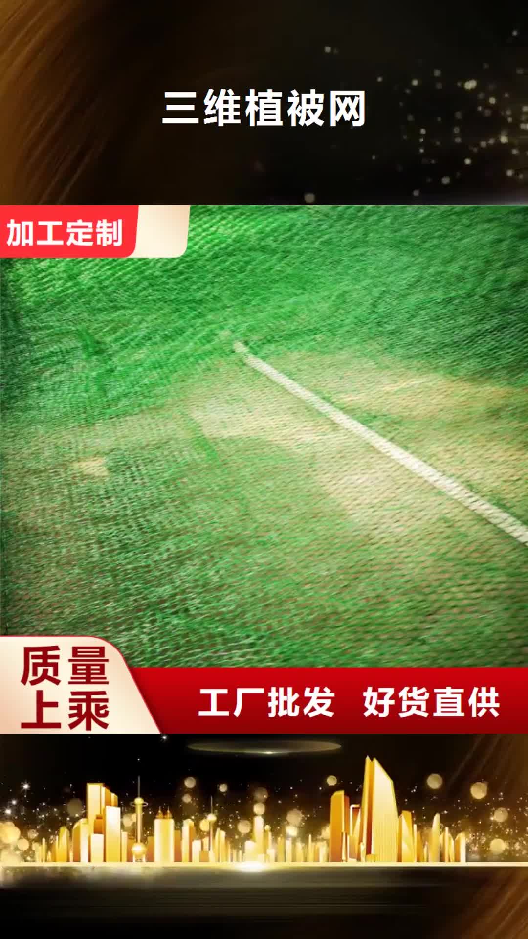 四川【三维植被网】-土工布质检合格出厂