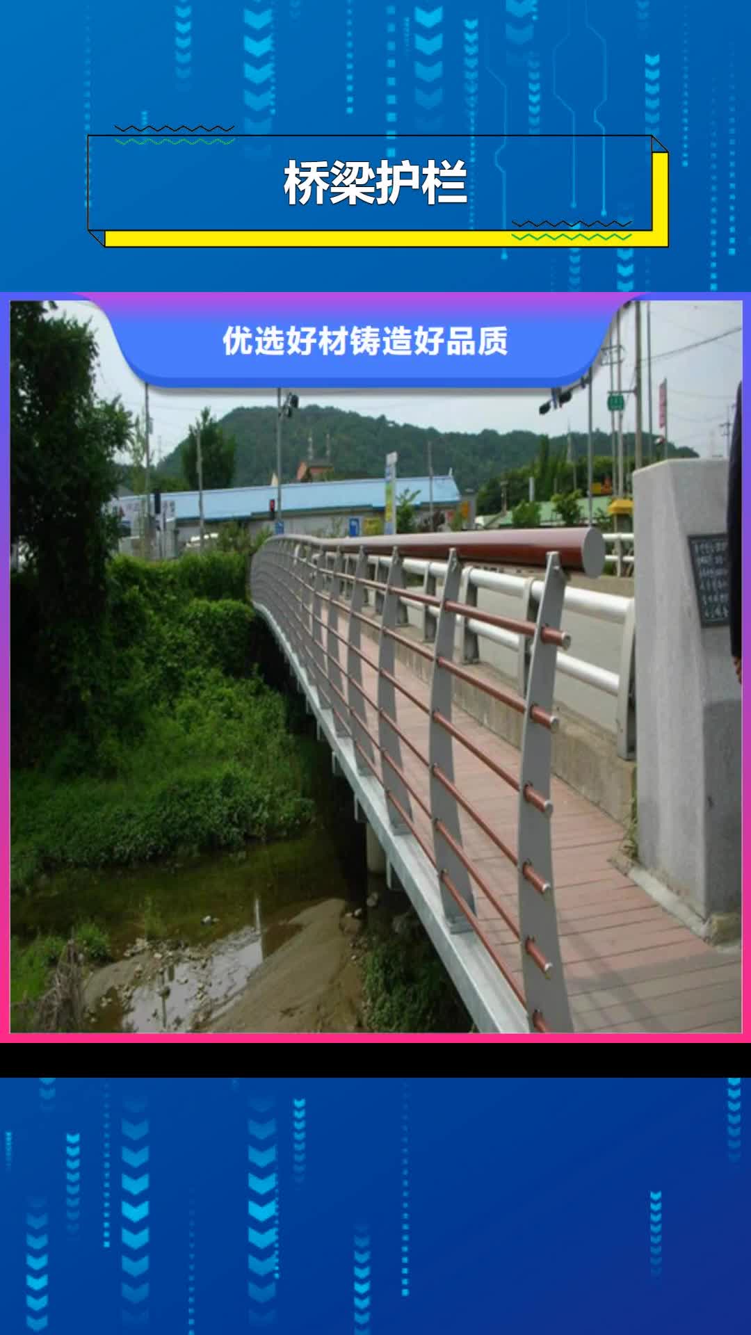 平凉 桥梁护栏,【防撞护栏】选择大厂家省事省心