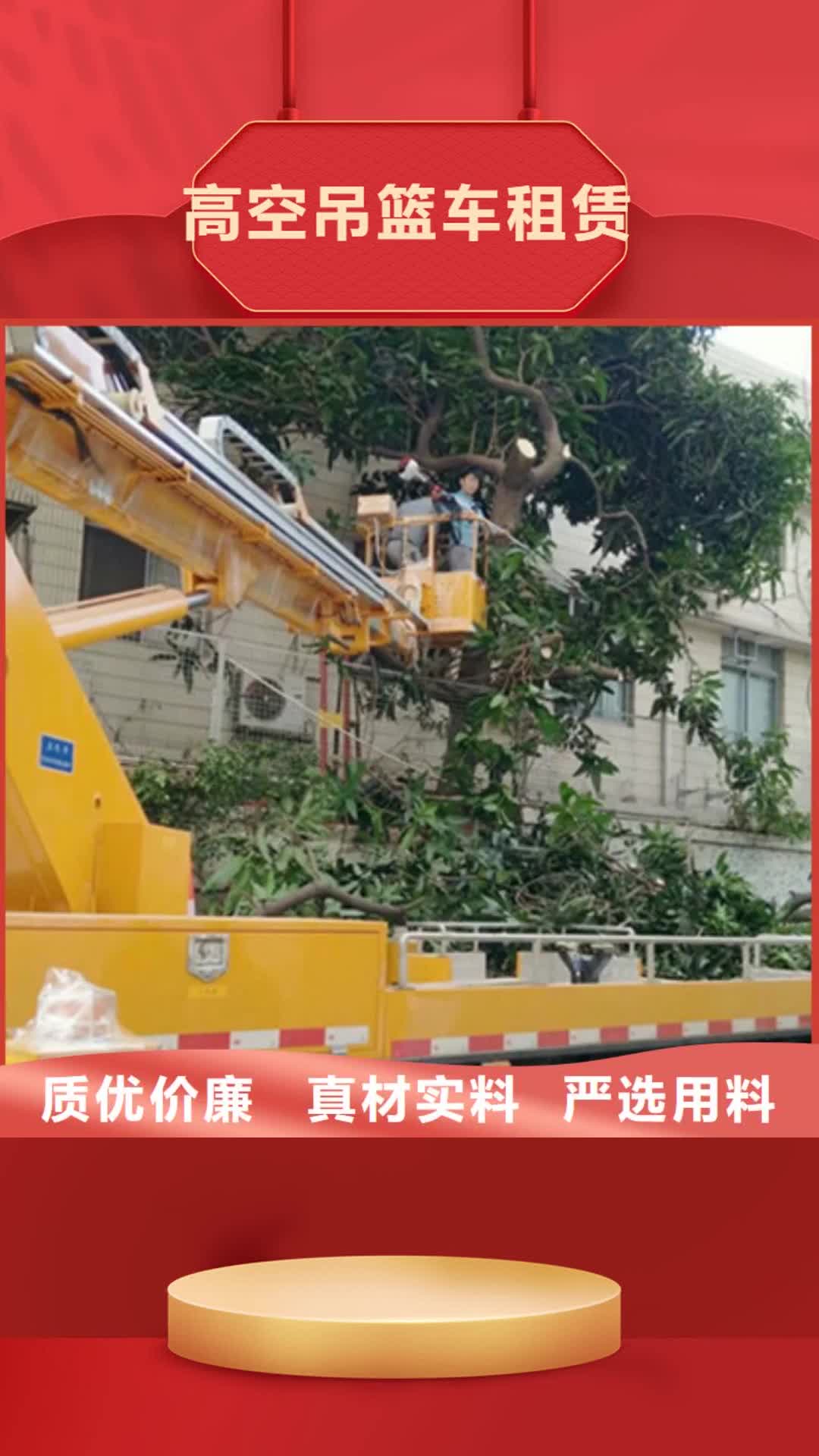 香港 高空吊篮车租赁精致工艺